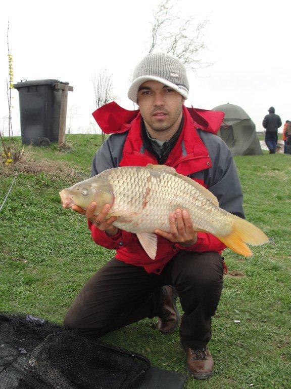 Floarea Popestiului 01.04.2012